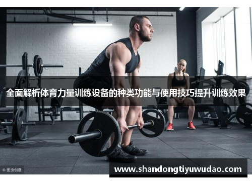 全面解析体育力量训练设备的种类功能与使用技巧提升训练效果