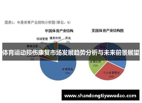 体育运动损伤康复市场发展趋势分析与未来前景展望