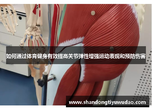 如何通过体育健身有效提高关节弹性增强运动表现和预防伤害