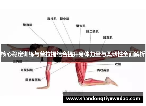 核心稳定训练与普拉提结合提升身体力量与柔韧性全面解析