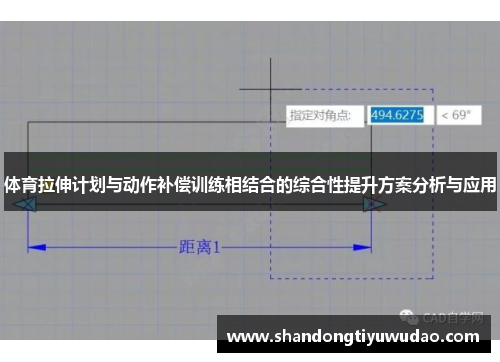 体育拉伸计划与动作补偿训练相结合的综合性提升方案分析与应用