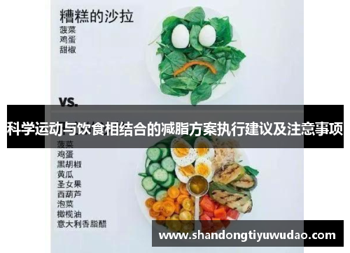 科学运动与饮食相结合的减脂方案执行建议及注意事项