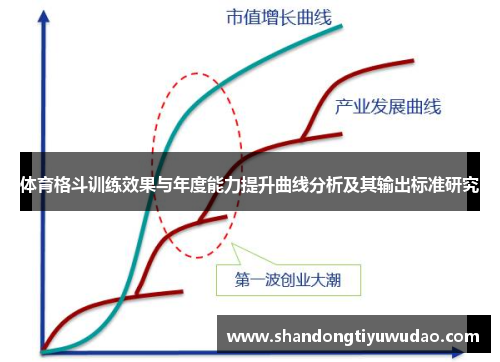 体育格斗训练效果与年度能力提升曲线分析及其输出标准研究