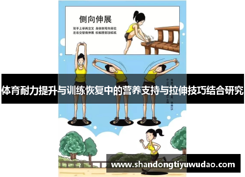 体育耐力提升与训练恢复中的营养支持与拉伸技巧结合研究