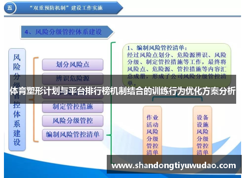 体育塑形计划与平台排行榜机制结合的训练行为优化方案分析