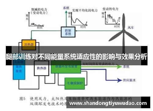 腿部训练对不同能量系统适应性的影响与效果分析